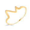 Anillo interferencia
